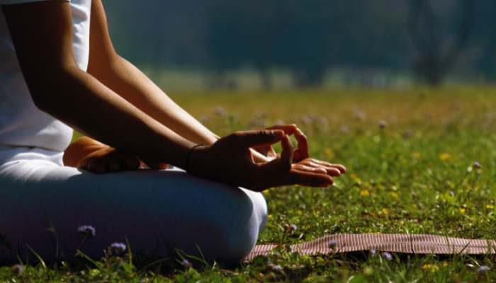 Untitled design - 2026-02-19T120903.902