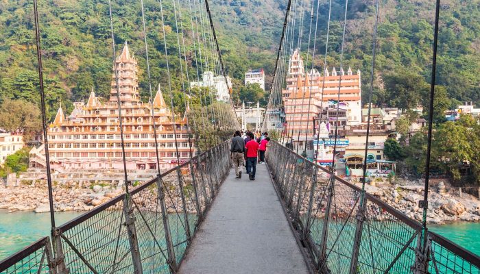 Untitled design - 2026-02-19T121054.853