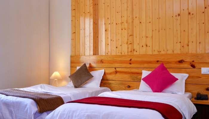 Untitled design - 2026-02-19T124254.119