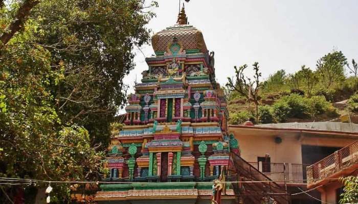 Untitled design - 2026-02-19T124421.756