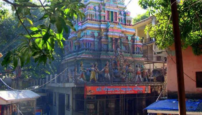 Untitled design - 2026-02-19T214843.918